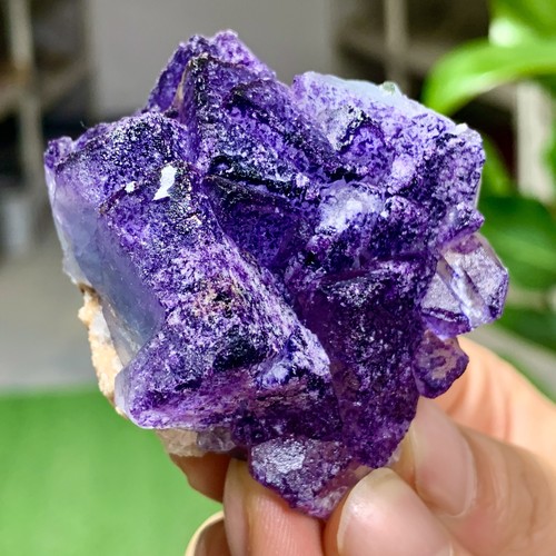 108g viola naturale qr - viola,