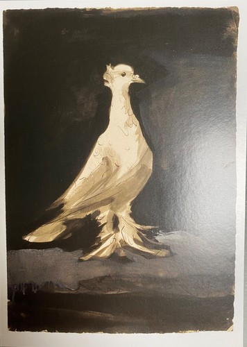 Picasso pablo colomba - colomba, /