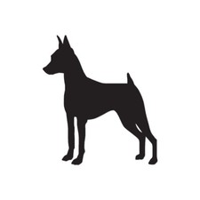 Miniature Pinscher Dog - Decal