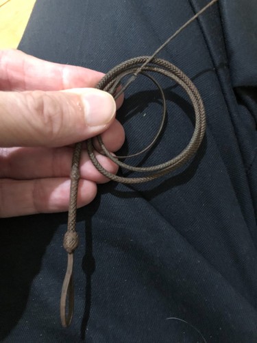 Frusta monouso dalla figura