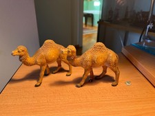 Coppia Dromedari Presepe -
