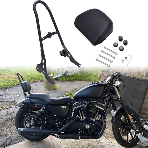 Sissy bar passenger backrest - passenger,
