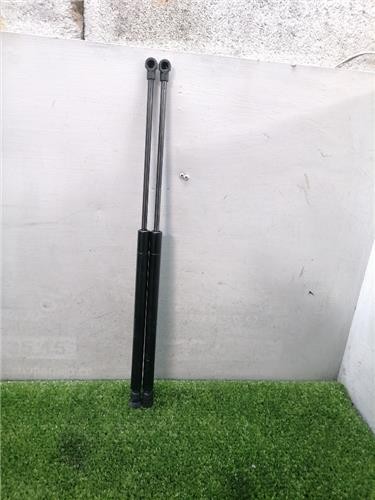 Ammortizzatore portellone fiat - portellone,