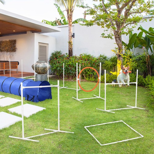 Set attrezzatura agility per - attrezzatura,
