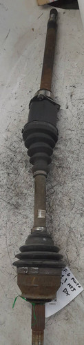 51934088 semialbero ant - semialbero,