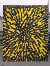 Monocromo  Giallo Su  Tela  No Silvio Formichetti  No De Lutti no Raccagni