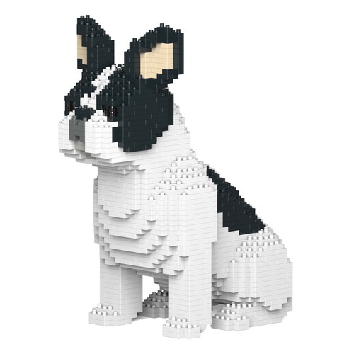 Bulldog francese seduto - francese,
