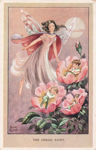 Rene cloke fairies - cloke,