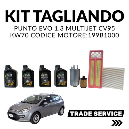 Kit tagliando punto evo - kit,