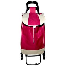 Carrello per la spesa con Tre Ruote Girevoli Saliscale Trolley Portaspesa con ch