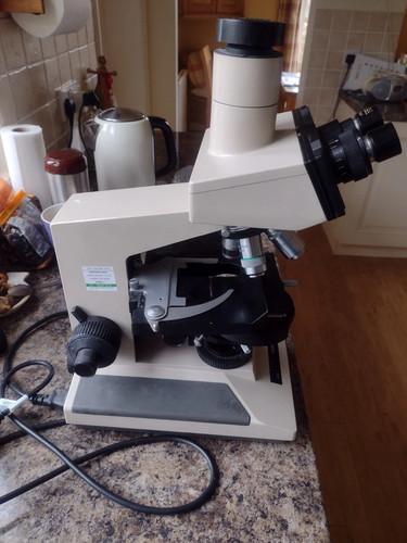 Olympus bh2 microscopio - bh2,