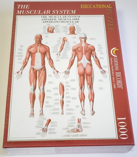 Ricordi educational puzzle - ricordi,