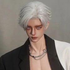 Bambola 1/3 BJD resina