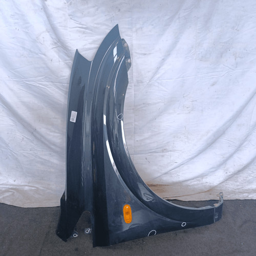 Parafango ant kgm - dx,