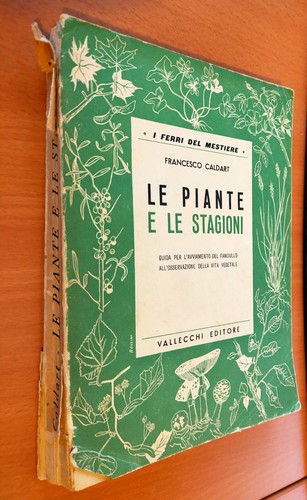 Piante stagioni di - piante,