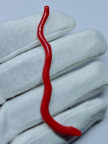 Ramo corallo rosso - ramo,