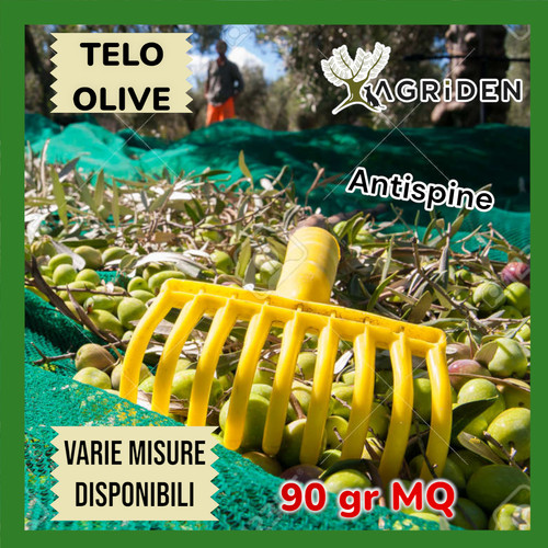 Telo rete raccolta - , olive