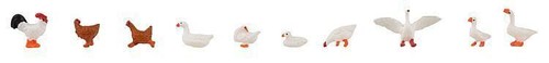 Set figure di - set,