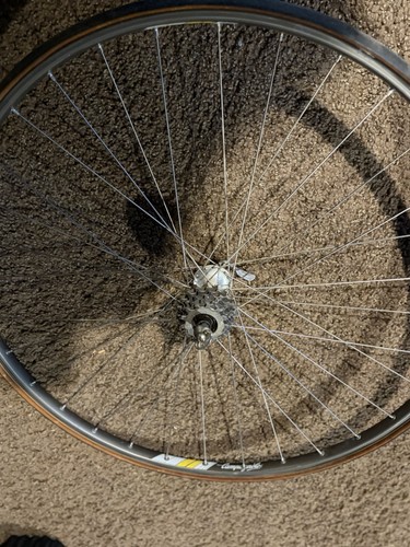 Vintage campagnolo record - vintage,