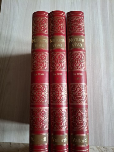 Natura viva - natura,