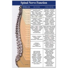Poster tabella medica - poster,