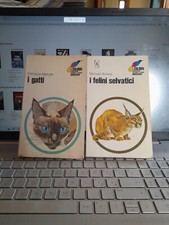 Il Felini Selvatici Boorer I