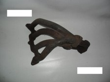 Fiat 600 Tutti i Tipi -