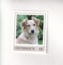 FRANCOBOLLO PM Austria CANI