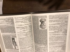 Campanini Carboni - Il