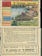 R@R@ FIGURINA DEL REGNO