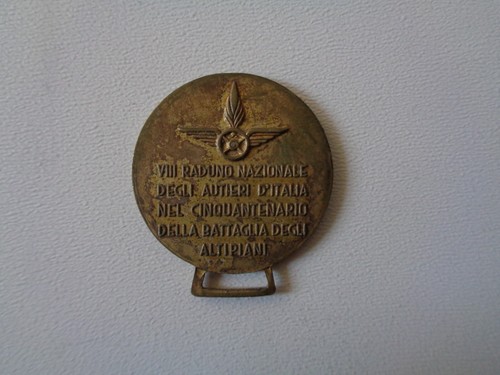 Medaglia viii raduno - medaglia,