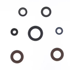 Serie Paraolio Motore Cagiva