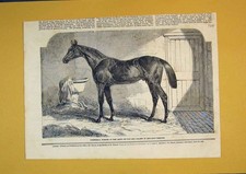 Antica stampa originale 1859