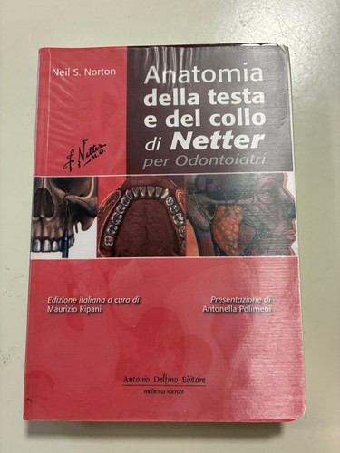 Anatomia della testa - e, del