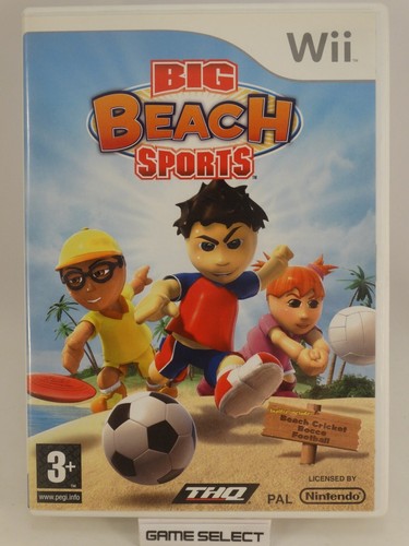 Big beach sports nintendo - big,