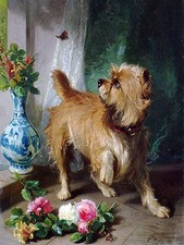 Cane con Farfalla Piastrella Murale Cucina Bagno Parete Backsplash Marmo Ceramica