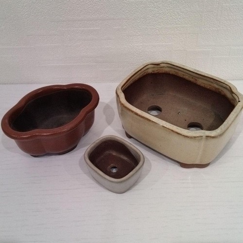 Antico vaso bonsai - , tre