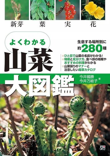 Easy understand wild - easy, to