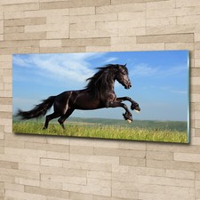 Quadro Stampa Vetro Wall Art