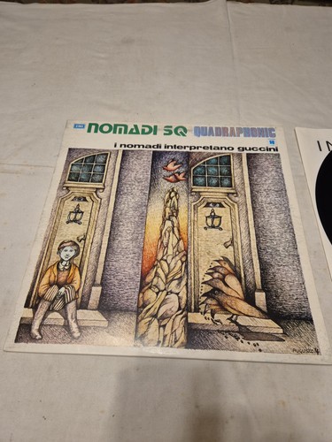 Vinile i nomadi - vinile, 33