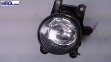 Fari Antinebbia Completi L VW