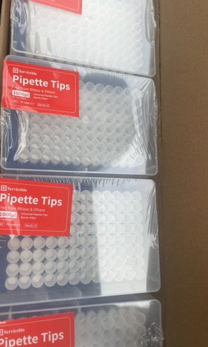 96pz punte per - punte, pipette