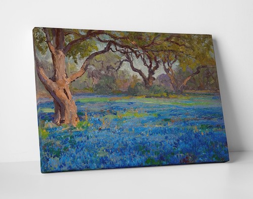Julian onderdonk bluebonnets - onderdonk,