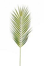 Finta Fogli, Foglia Palma, Ramo, Chamaedorea Verde 75cm EMERALD Blätterzweig