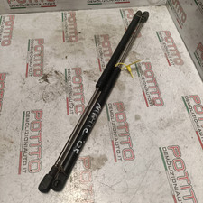 Asta ammortizzante portello