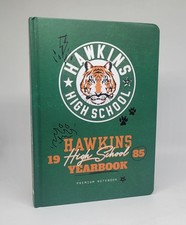 Stranger things hawkins - stranger, high