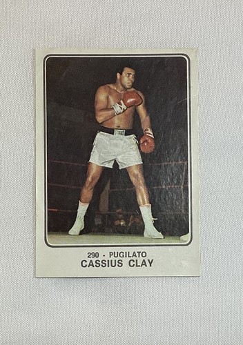 Cassius clay muhammad - clay, ali
