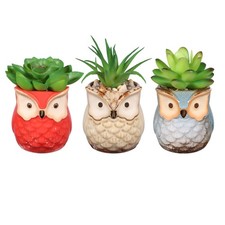  Piantine Grasse Finte Mini