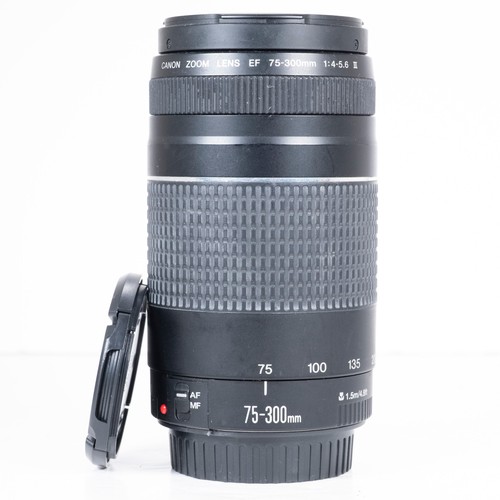 Canon 300 0 5 6 - mm, iii