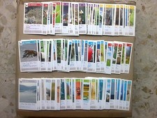 LOTTO FIGURINE "SALVA IL TUO